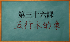 八字中五行木的象该怎么读